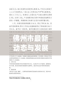 佛州市最新动态与发展热点新闻头条速递