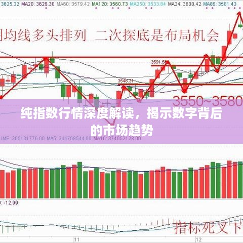 纯指数行情深度解读，揭示数字背后的市场趋势