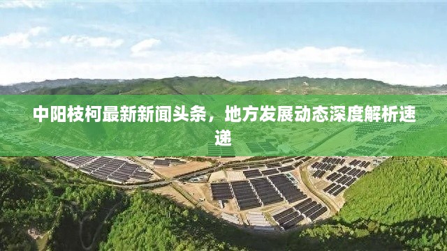 中阳枝柯最新新闻头条，地方发展动态深度解析速递