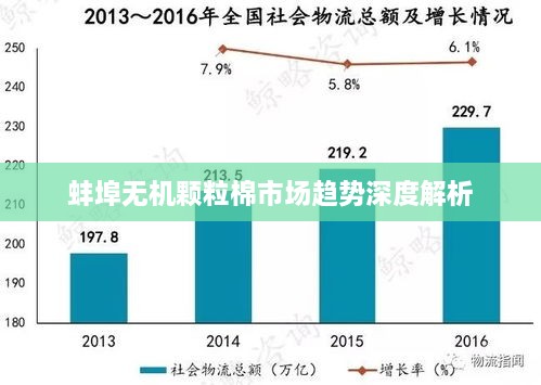 蚌埠无机颗粒棉市场趋势深度解析