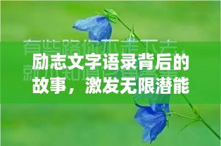 励志文字语录背后的故事，激发无限潜能的力量之源