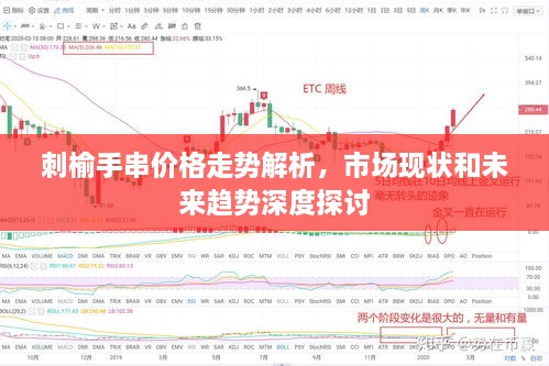 刺榆手串价格走势解析，市场现状和未来趋势深度探讨