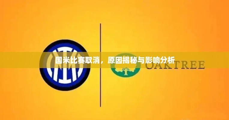 国米比赛取消，原因揭秘与影响分析