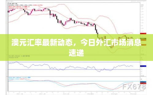 澳元汇率最新动态，今日外汇市场消息速递