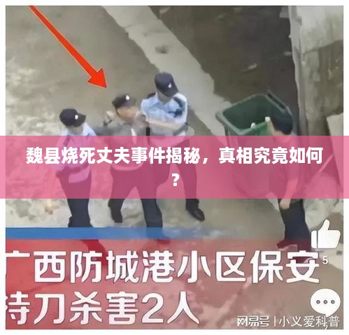 魏县烧死丈夫事件揭秘，真相究竟如何？