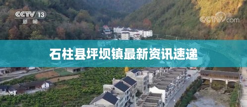 石柱县坪坝镇最新资讯速递