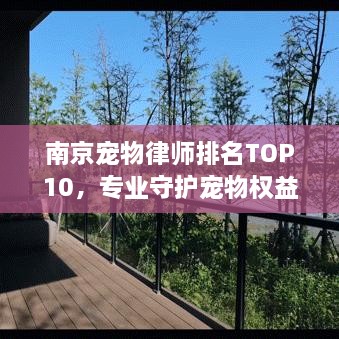 南京宠物律师排名TOP10，专业守护宠物权益的杰出律师