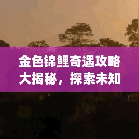 金色锦鲤奇遇攻略大揭秘，探索未知世界的神秘之旅