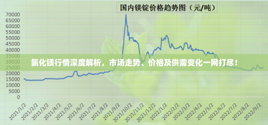 氯化镁行情深度解析，市场走势、价格及供需变化一网打尽！