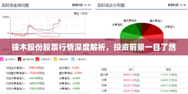 徕木股份股票行情深度解析，投资前景一目了然