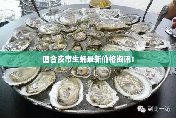 四合夜市生蚝最新价格资讯！