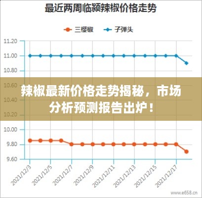 辣椒最新价格走势揭秘，市场分析预测报告出炉！