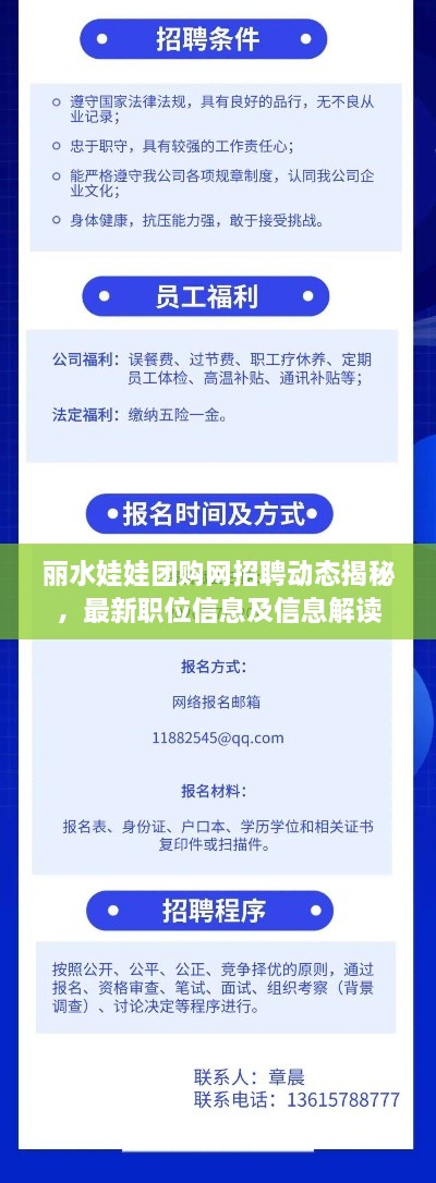 丽水娃娃团购网招聘动态揭秘，最新职位信息及信息解读