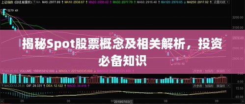 揭秘Spot股票概念及相关解析，投资必备知识