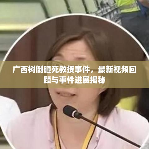 广西树倒砸死教授事件，最新视频回顾与事件进展揭秘