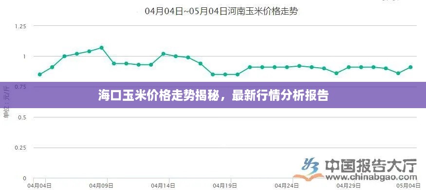 海口玉米价格走势揭秘，最新行情分析报告