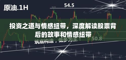 投资之道与情感纽带，深度解读股票背后的故事和情感纽带