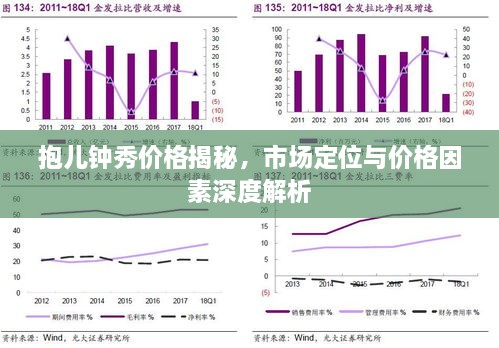 抱儿钟秀价格揭秘，市场定位与价格因素深度解析