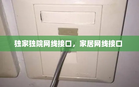 独家独院网线接口，家居网线接口 