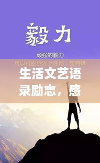 生活文艺语录励志，感悟人生，砥砺前行！