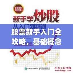 股票新手入门全攻略，基础概念解析与实战指南