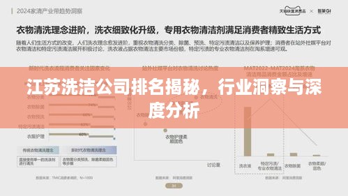 江苏洗洁公司排名揭秘，行业洞察与深度分析