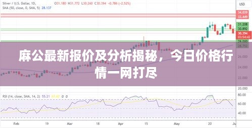 麻公最新报价及分析揭秘，今日价格行情一网打尽