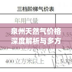 泉州天然气价格深度解析与多方影响探讨