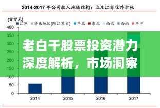 老白干股票投资潜力深度解析，市场洞察与前景展望