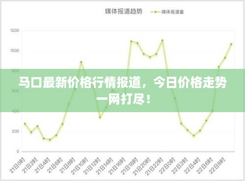 马口最新价格行情报道，今日价格走势一网打尽！