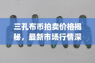 三孔布币拍卖价格揭秘，最新市场行情深度解析！