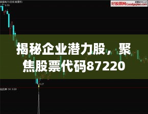 揭秘企业潜力股，聚焦股票代码872206，未来发展值得期待！