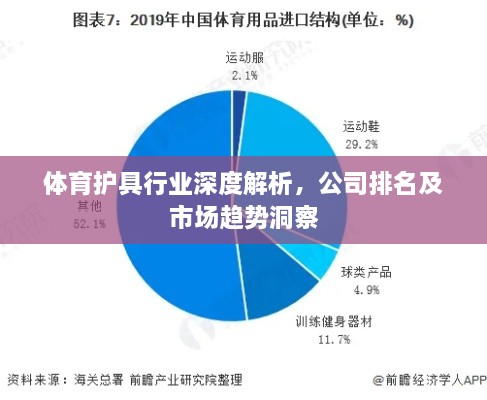 体育护具行业深度解析，公司排名及市场趋势洞察