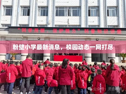 粉壁小学最新消息，校园动态一网打尽