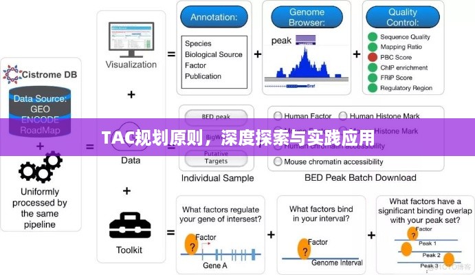 TAC规划原则，深度探索与实践应用