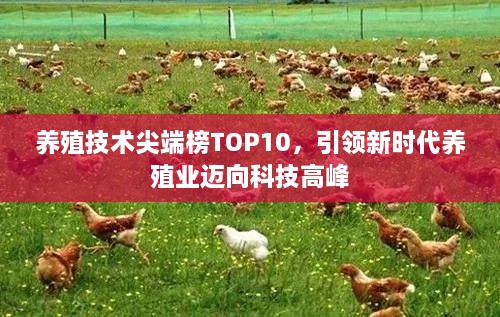 养殖技术尖端榜TOP10，引领新时代养殖业迈向科技高峰