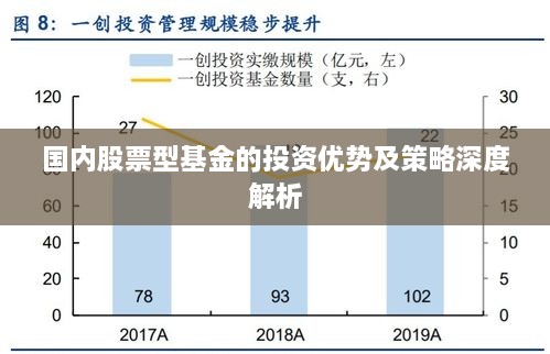 国内股票型基金的投资优势及策略深度解析