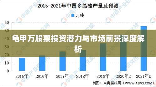 龟甲万股票投资潜力与市场前景深度解析