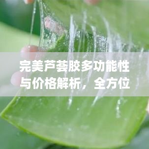 完美芦荟胶多功能性与价格解析，全方位了解芦荟胶的秘密