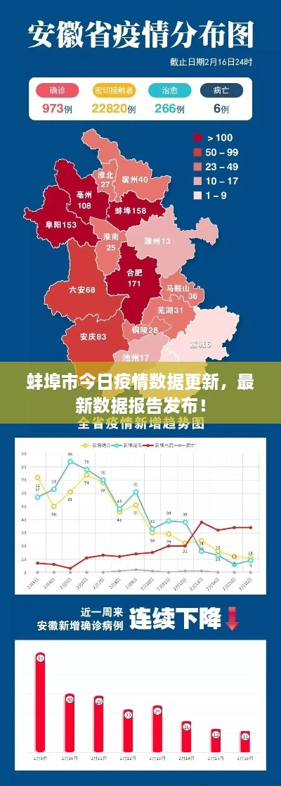 蚌埠市今日疫情数据更新，最新数据报告发布！