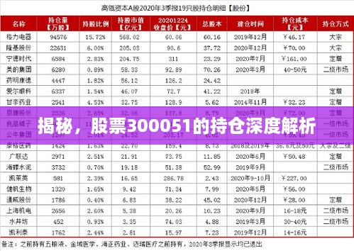 揭秘，股票300051的持仓深度解析