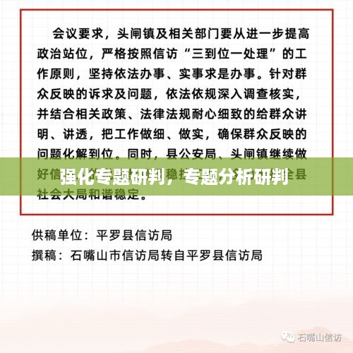 强化专题研判，专题分析研判 