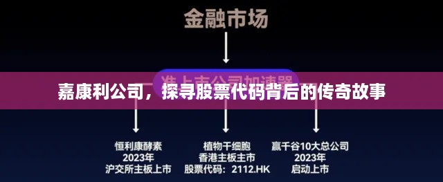 嘉康利公司，探寻股票代码背后的传奇故事