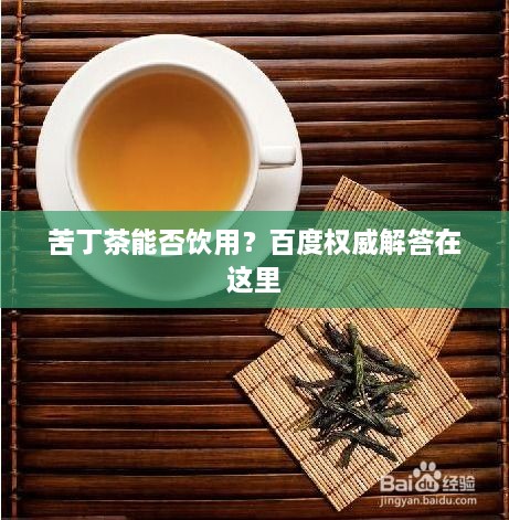 苦丁茶能否饮用？百度权威解答在这里