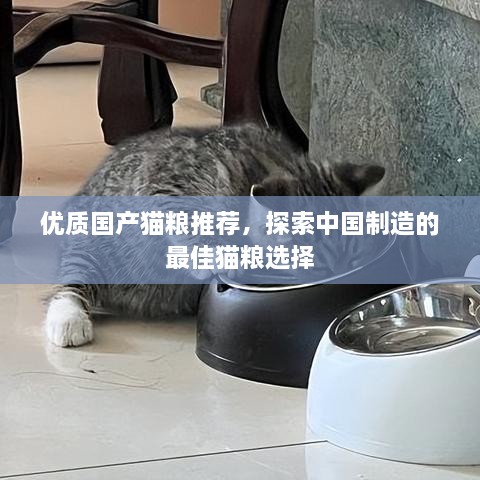 优质国产猫粮推荐，探索中国制造的最佳猫粮选择