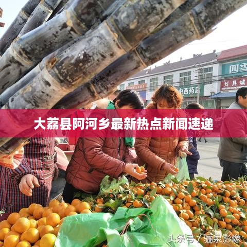 大荔县阿河乡最新热点新闻速递