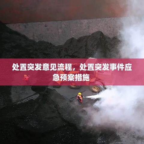 处置突发意见流程，处置突发事件应急预案措施 