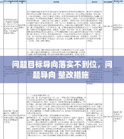 问题目标导向落实不到位，问题导向 整改措施 