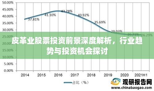 皮革业股票投资前景深度解析，行业趋势与投资机会探讨