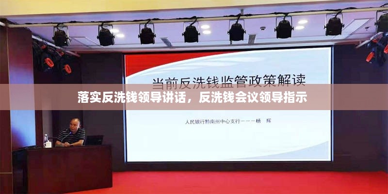 落实反洗钱领导讲话，反洗钱会议领导指示 